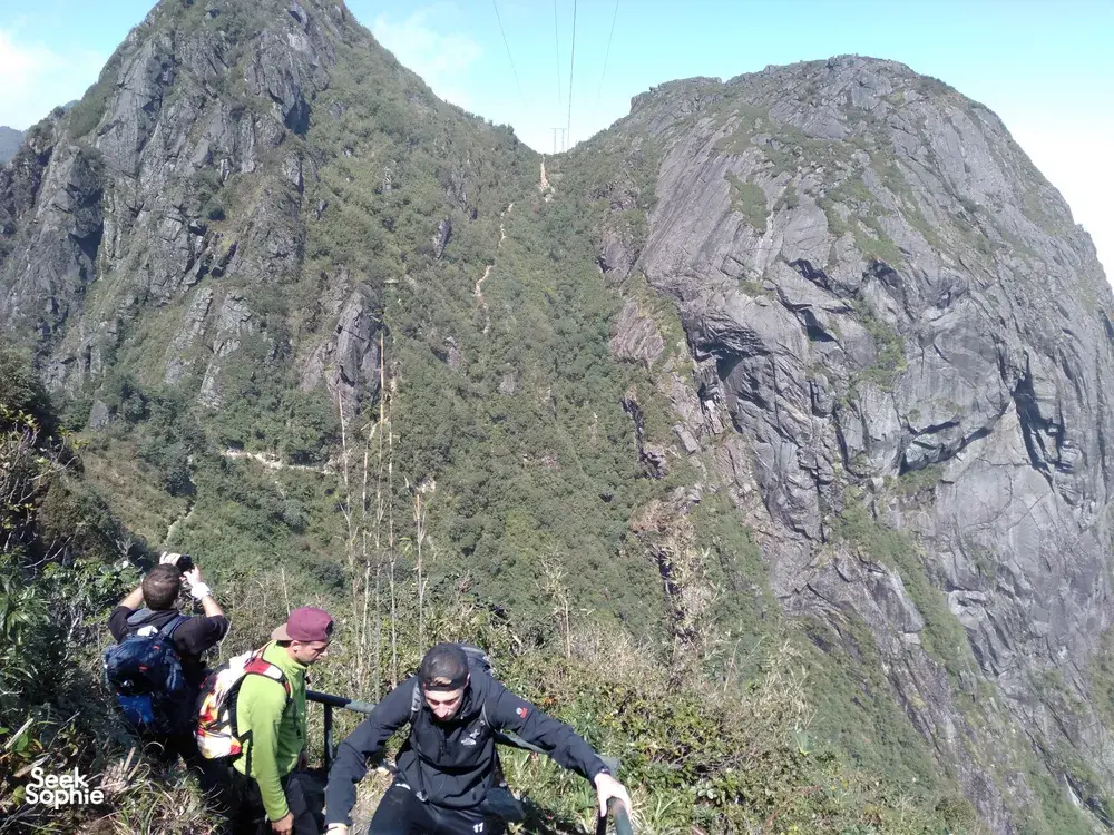 Seek Sophie option picture