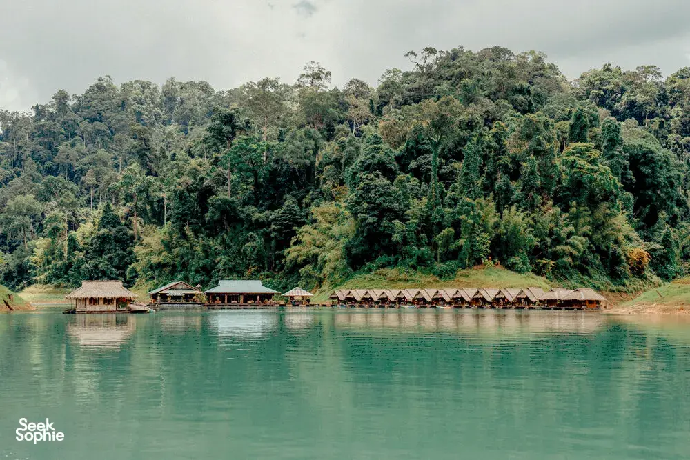 Seek Sophie option picture