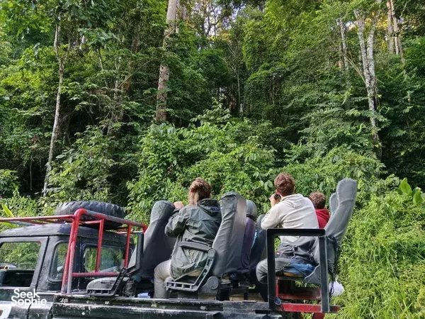 4D3N Deramakot and Kinabatangan River Exploration 