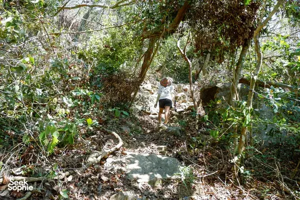 Trekker follows a rocky trail through lush forest with Tung, local guide, on a panoramic hike in Cat Ba