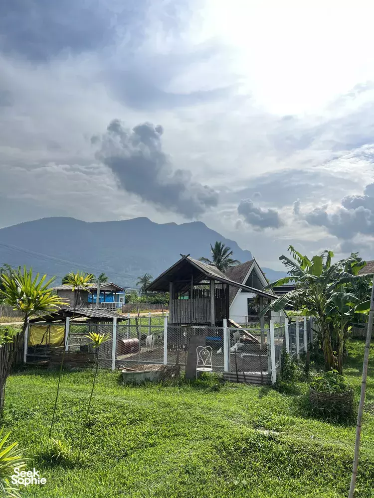 Seek Sophie option picture