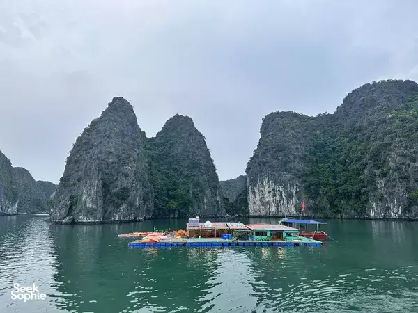 Unique 3D2N Cruise & Floating Homestay Combo from Cat Ba