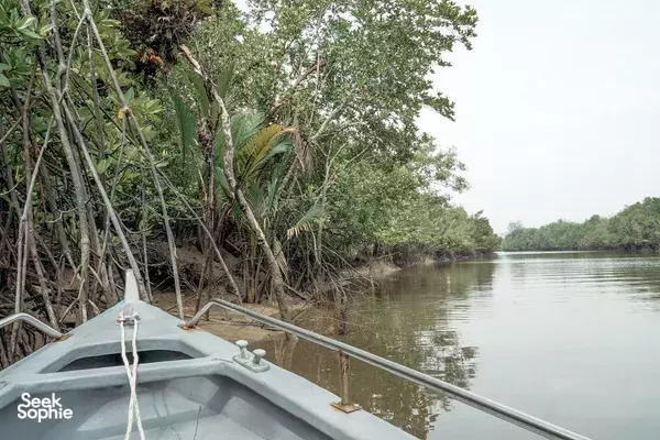 Lawatan Sehari Pemuliharaan Penyu & Lumba-lumba Jarang Dijumpai