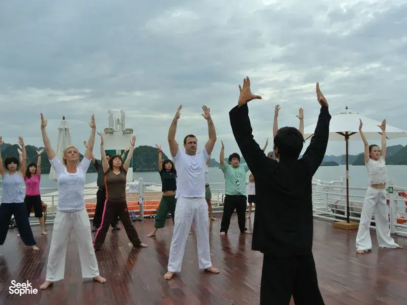 Seek Sophie option picture