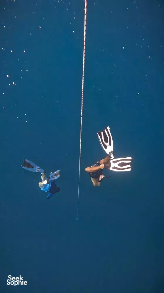 Seek Sophie option picture