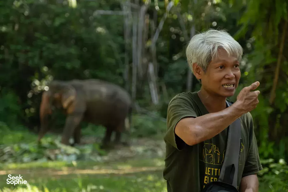 Seek Sophie option picture