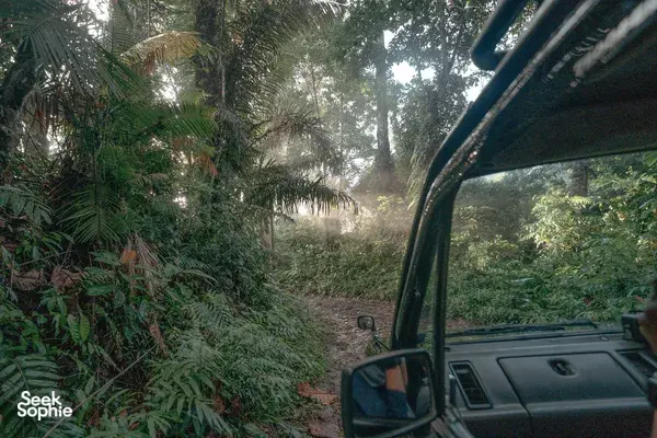 2D1N Bromo Sunrise & Ijen Blue Flames | Fastest East Java Trip!