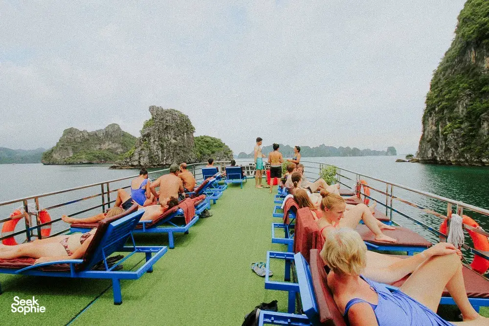 Seek Sophie option picture