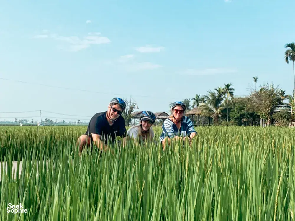 Seek Sophie option picture