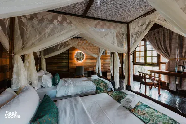 3D2N Borneo Wildlife Combo | Sepilok Orangutans + Kinabatangan River