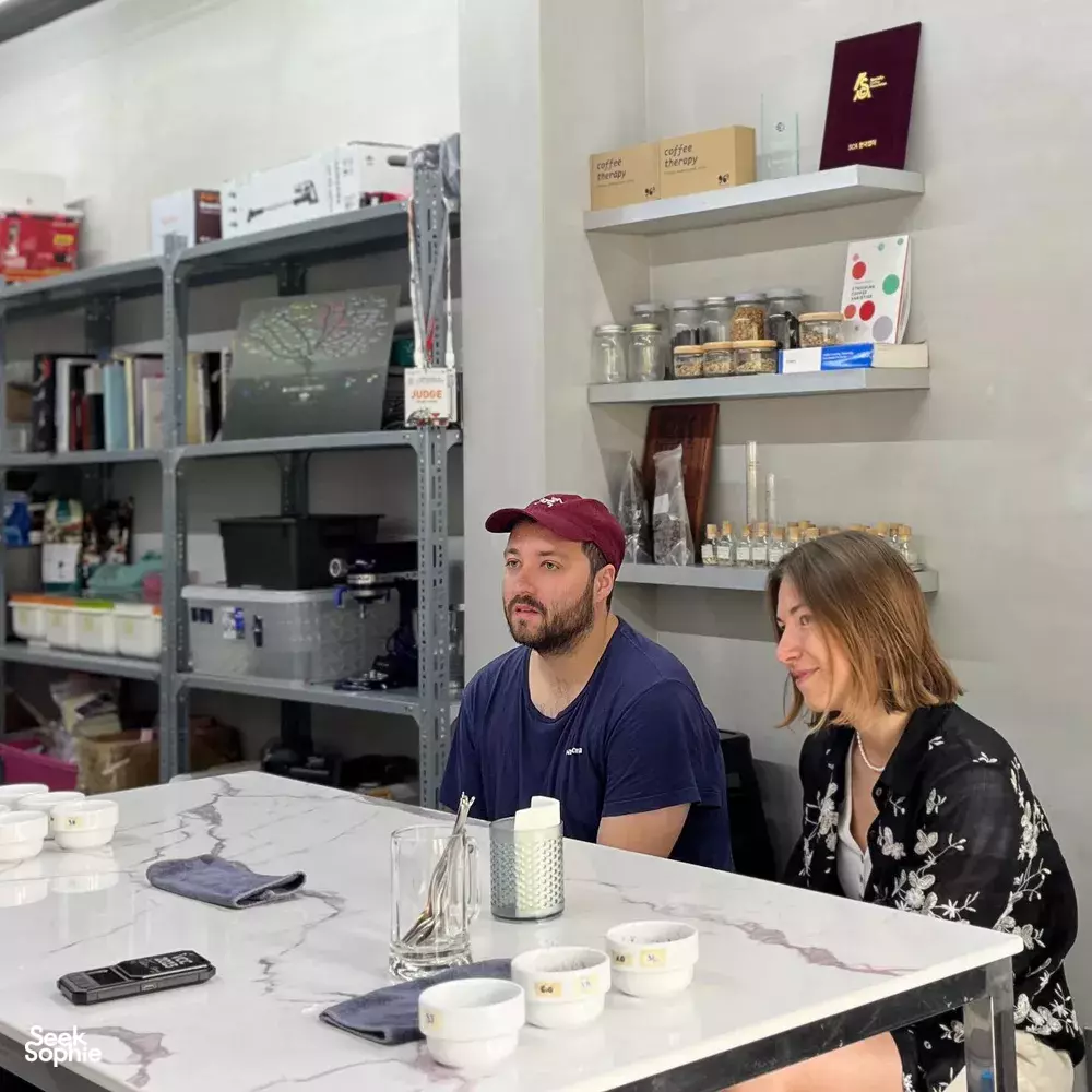 Seek Sophie option picture