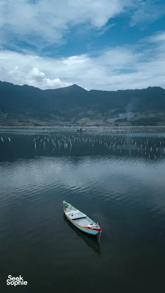 Seek Sophie option picture