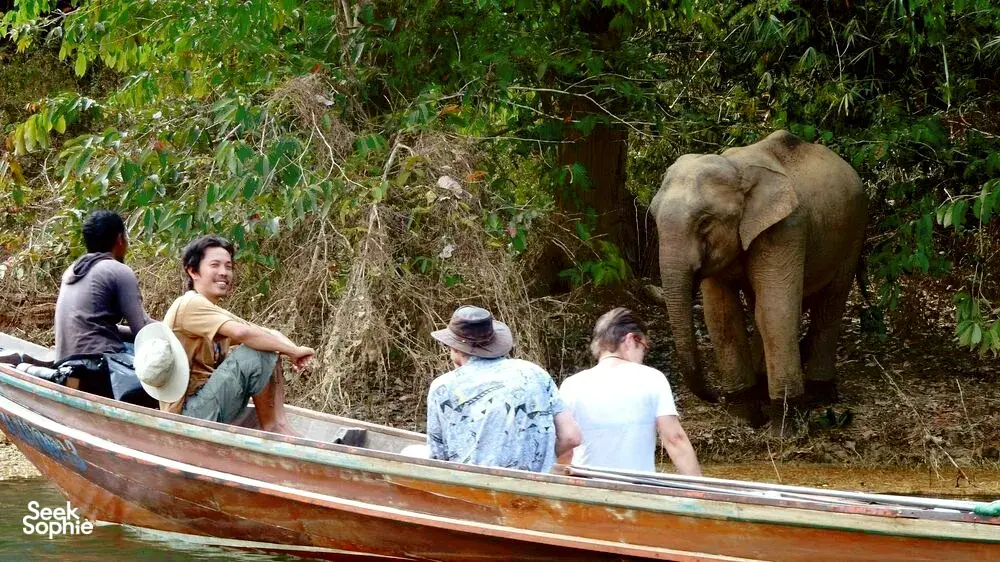 Seek Sophie option picture