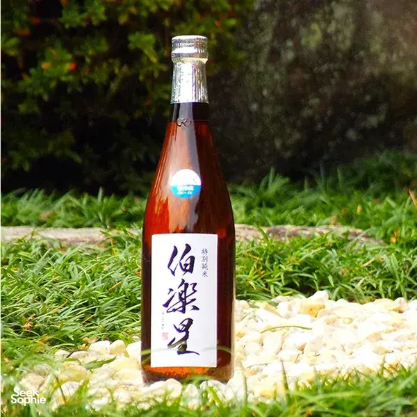 Cicip Sake Langka di Toko Tersembunyi