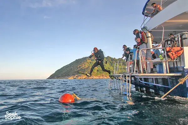 北安达曼3天3夜超值潜水Liveaboard | 10 潜水