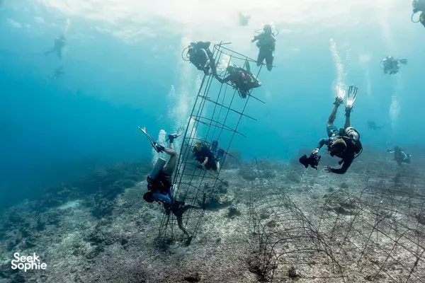 Pengalaman Penanaman Karang 3 Hari di Gili Trawangan
