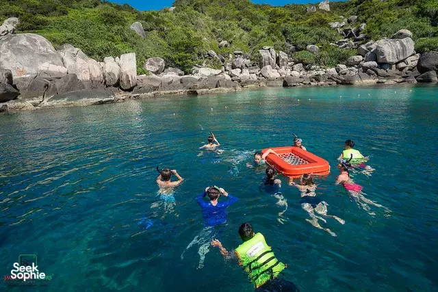 Seek Sophie option picture