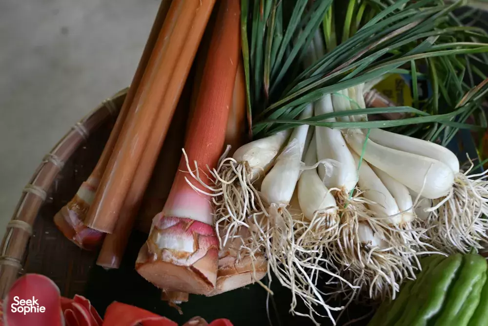 Seek Sophie option picture