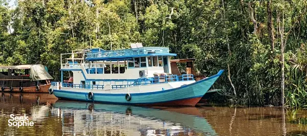 3D2N Shared Tanjung Puting Cruise | Perfect For Solo Travellers