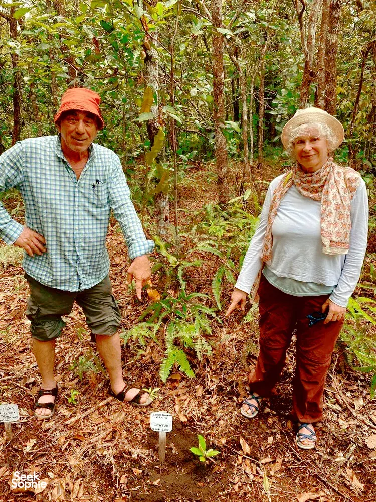 Seek Sophie option picture