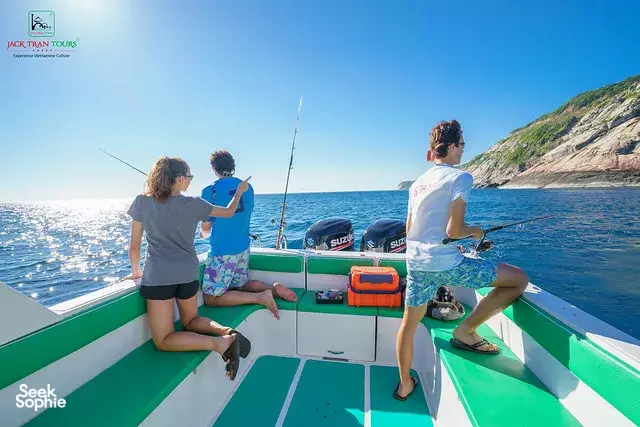 Seek Sophie option picture