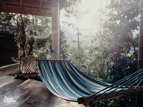 Blue-and-striped hammock on a shaded veranda in Sri Lanka, framed by dense green forest trees and soft sun flare