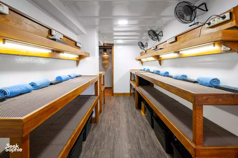 Seek Sophie option picture