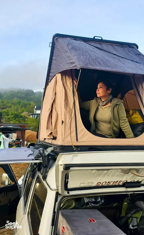 Seek Sophie option picture