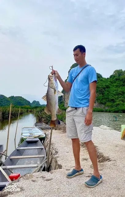 Seek Sophie option picture