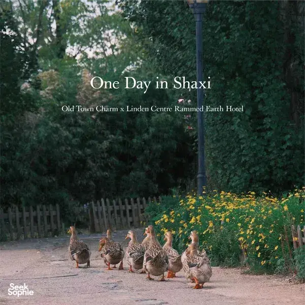 Menginap 2D1N di Shaxi | Permata Tersembunyi Jalur Kuda Teh & Goa Buddha