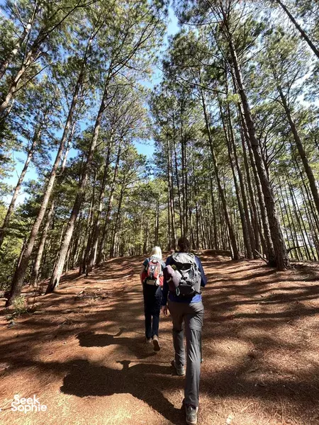 Secret Trails & Epic Views | Kayak Da Lat's Misty Fairytale Lake