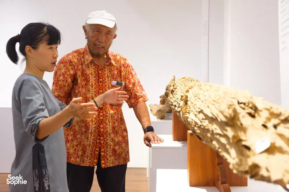 Guide and visitor examining a large agarwood log display inside a Hanoi venue on an Up Travel Vietnam rare agarwood tour