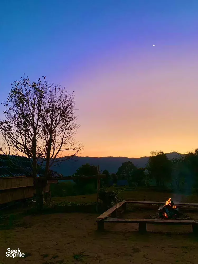 Seek Sophie option picture