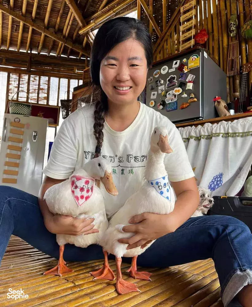 Seek Sophie option picture