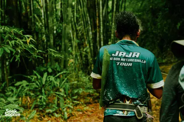 Khao Sok Jungle Trek + Hidden Falls with Wildlife Expert