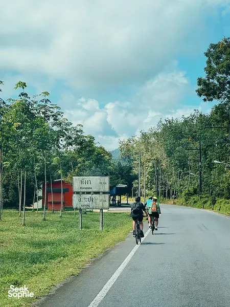 Cyclists pedal on a country road lined with trees and signboards, on a Half-Day Cycling & Rafting route in Khao Lak