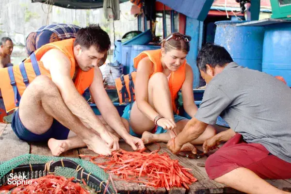 1 Day Hidden Lan Ha Bay | Secret Spots, Crabbing & Seafood Hotpot