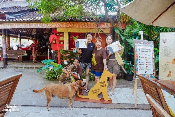 Group photo with rescued dogs and printed information boards in the courtyard of a Bali Conservation Adventures shelter in Bali