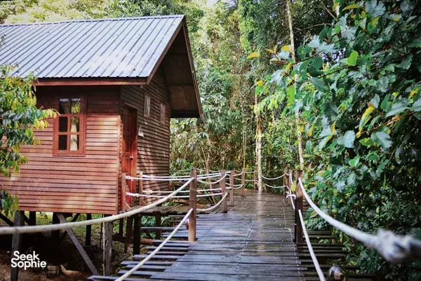 Wooden cabin structure with a boardwalk leading to the front door, surrounded by jungle greenery at Borneo Natural Sukau Bilit Resort