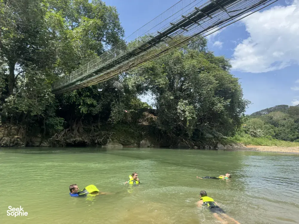 Seek Sophie option picture