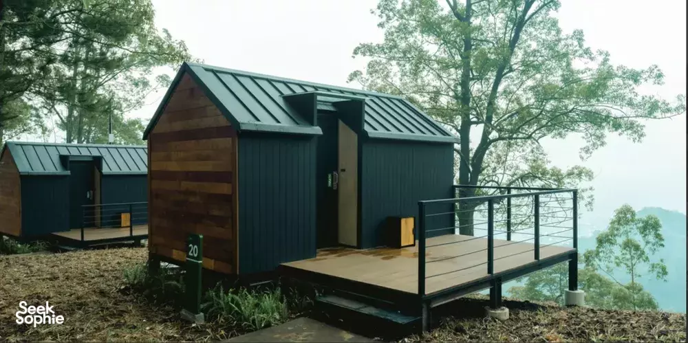 Seek Sophie option picture