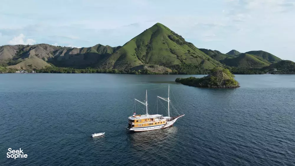 Seek Sophie option picture