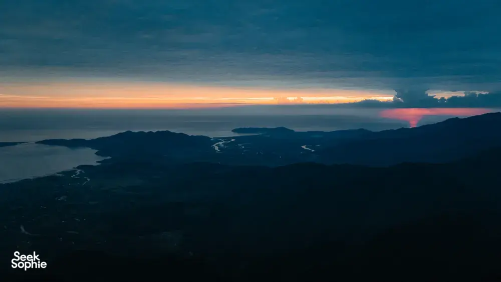 Seek Sophie option picture