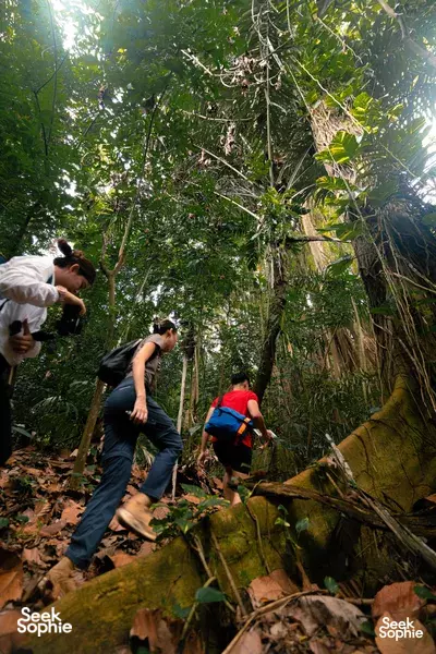 探索峇拉山隐藏的战争遗迹｜难忘的徒步之旅