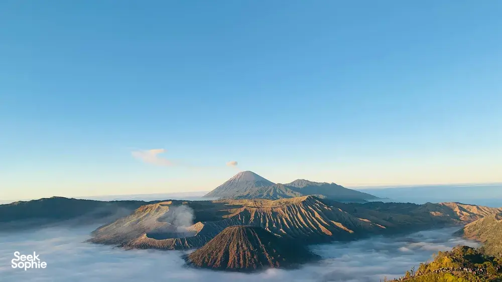 Seek Sophie option picture