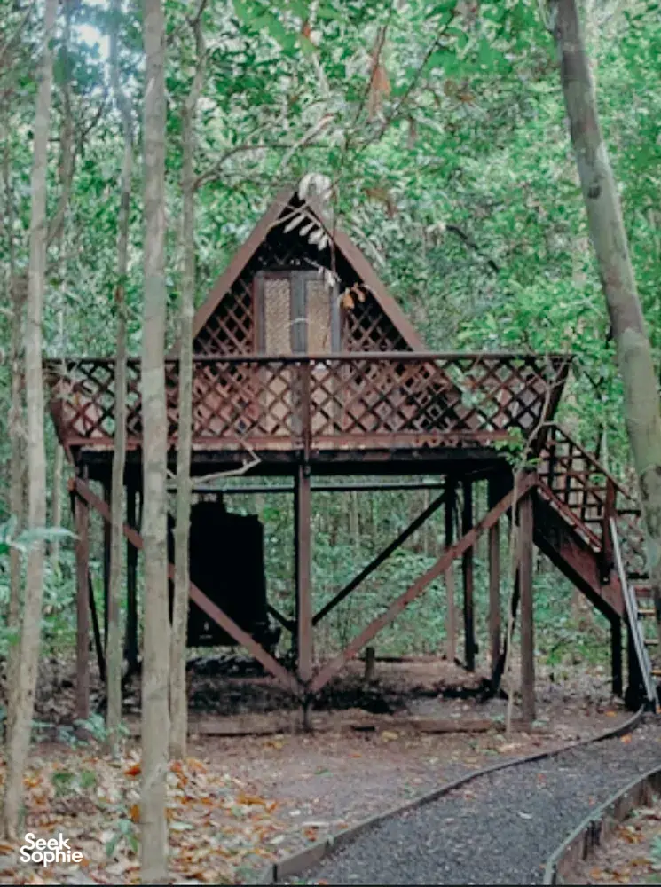 Seek Sophie option picture