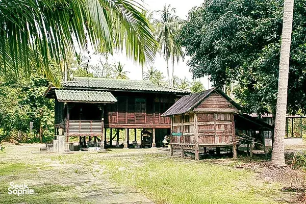 Traditional wooden village houses surrounded by greenery in Langkawi on a cycling route through villages and local communities