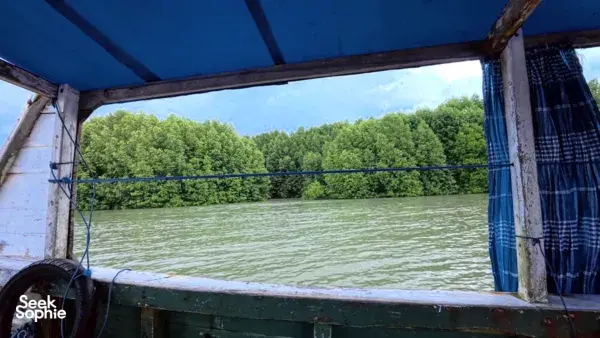 View from inside a boat with blue cover, looking out over still mangrove waters during an ecosystem cruise in Labuan Bajo