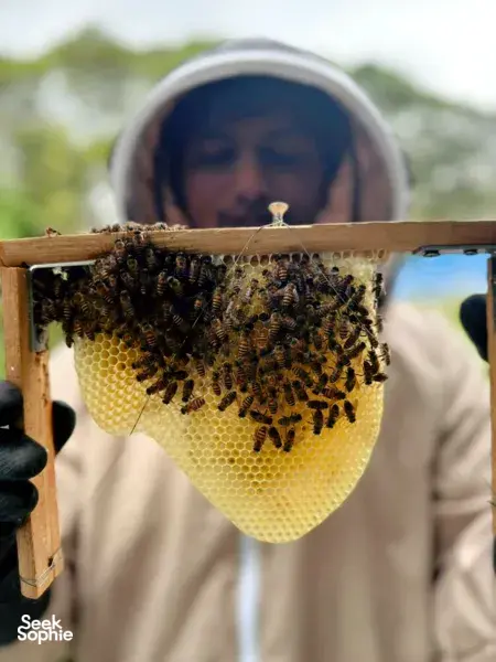 Mead Making at Tiny Bee Farm