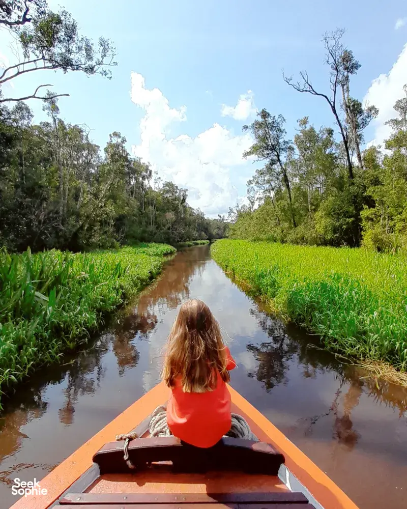 Seek Sophie option picture